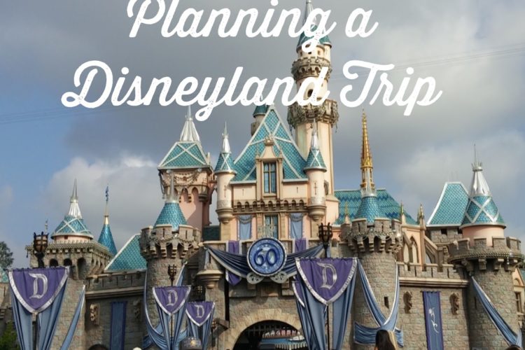Planning A Disneyland Trip On A Whim